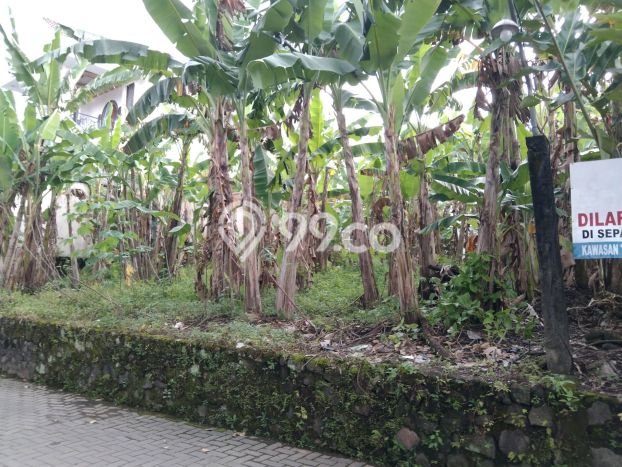 Tanah Dijual Lokasi Strategis di Sleman dengan Luas 520m2 Tanah Dijual Lokasi Strategis di Sleman dengan Luas 520m2