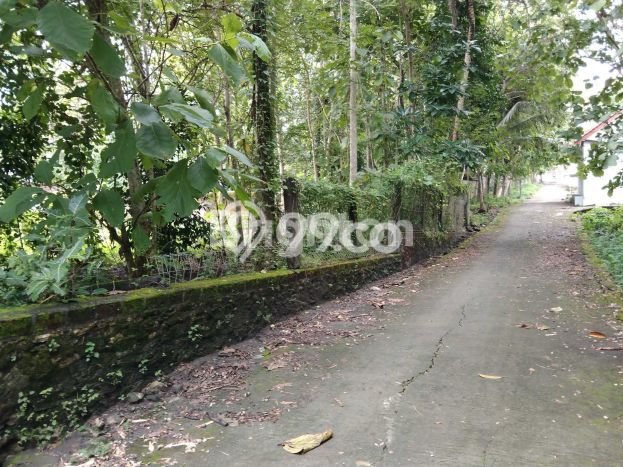 Tanah Dijual Lokasi Sedayu, Bantul dengan Luas Tanah 622m2 dan Status SHM Tanah Dijual Lokasi Sedayu, Bantul dengan Luas Tanah 622m2 dan Status SHM