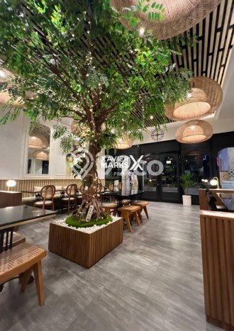 Disewakan Ruko Premium Kawasan Villa Puncak Tidar, Luas 118m2m², Lokasi Ramai Disewakan Ruko Premium Kawasan Villa Puncak Tidar, Luas 118m2m², Lokasi Ramai