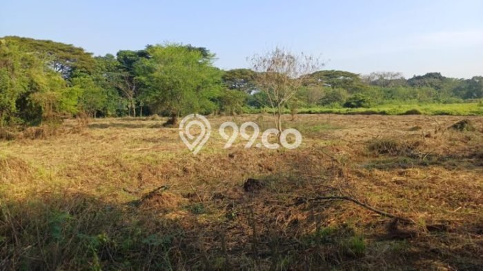 Jarang Ada! Tanah di Cikarang Timur Punya Luas 4606m2 - Jarang Ada! Tanah di Cikarang Timur Punya Luas 4606m2 -