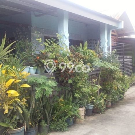 Dijual Hunian Rumah Terawat 2 Kamar di Jaka Sampurna, Bekasi Dijual Hunian Rumah Terawat 2 Kamar di Jaka Sampurna, Bekasi