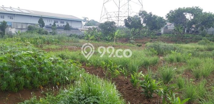 Tanah di Tapos, Depok Luas 18000m2 Dijual Segera Tanah di Tapos, Depok Luas 18000m2 Dijual Segera