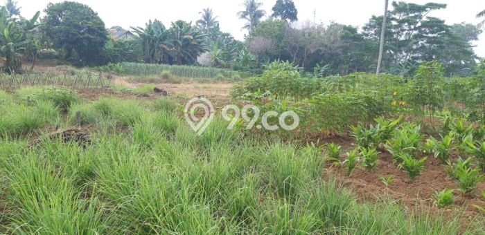Tanah di Tapos, Depok Luas 18000m2 Dijual Segera Tanah di Tapos, Depok Luas 18000m2 Dijual Segera