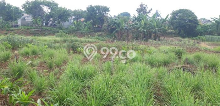 Tanah di Tapos, Depok Luas 18000m2 Dijual Segera Tanah di Tapos, Depok Luas 18000m2 Dijual Segera