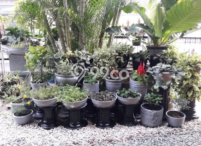 Hunian Elit LB 115m2 Siap Huni Desain Elegan di Semolowaru, Surabaya Hunian Elit LB 115m2 Siap Huni Desain Elegan di Semolowaru, Surabaya