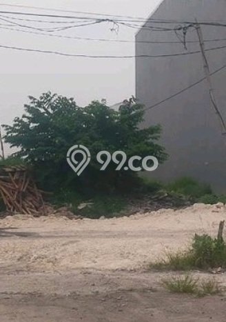 Disewakan Tanah Seluas 300m2 di Mulyorejo, Surabaya Disewakan Tanah Seluas 300m2 di Mulyorejo, Surabaya