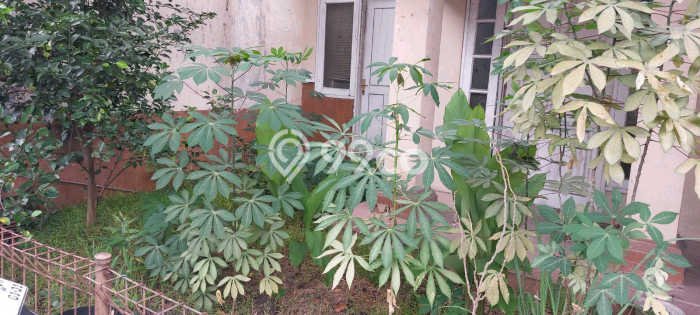 Dijual Rumah Premium dengan Fasilitas Sekitar Komplit di Waru, Sidoarjo Dijual Rumah Premium dengan Fasilitas Sekitar Komplit di Waru, Sidoarjo