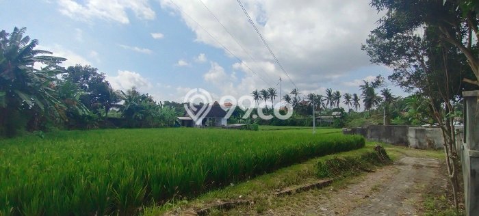 Tanah Dijual di Gianyar Seluas 910m2 Strategis Tanah Dijual di Gianyar Seluas 910m2 Strategis