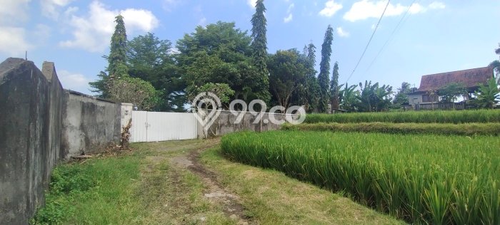 Tanah Dijual di Gianyar Seluas 910m2 Strategis Tanah Dijual di Gianyar Seluas 910m2 Strategis