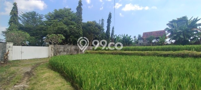 Tanah Dijual di Gianyar Seluas 910m2 Strategis Tanah Dijual di Gianyar Seluas 910m2 Strategis