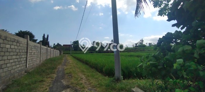 Tanah Dijual di Gianyar Seluas 910m2 Strategis Tanah Dijual di Gianyar Seluas 910m2 Strategis