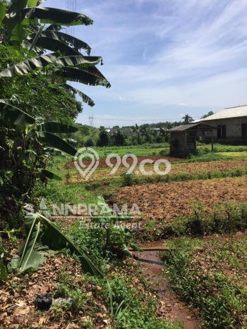 Tanah Strategis Dijual di Bojong Gede Bogor 1128m2 Tanah Strategis Dijual di Bojong Gede Bogor 1128m2