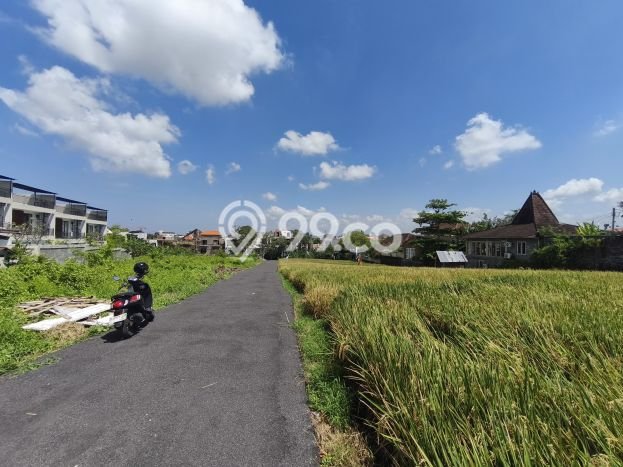 Disewakan Tanah di Tibubeneng Badung Seluas 300m2 Disewakan Tanah di Tibubeneng Badung Seluas 300m2