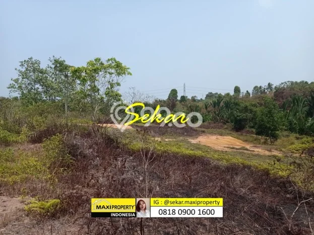 Tanah Dijual Lokasi Pandeglang Pandeglang AJB Tanah Dijual Lokasi Pandeglang Pandeglang AJB