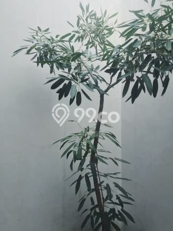 Rumah Minimalis 2 KT LT 48m2 di BSD Rumah Minimalis 2 KT LT 48m2 di BSD