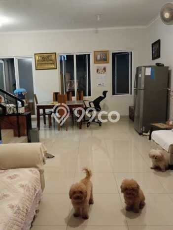 Rumah Luas Asri 3 KT Siap Pakai di Gading Serpong Tangerang Rumah Luas Asri 3 KT Siap Pakai di Gading Serpong Tangerang