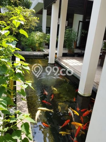 For Sale! Premium House LT 1626m2 Desain Elegan di Pantai Indah Kapuk For Sale! Premium House LT 1626m2 Desain Elegan di Pantai Indah Kapuk