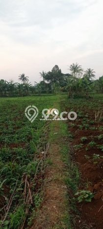 Tanah Dijual Lokasi Dramaga, Bogor Luas 4000m2 Legalitas Aman Tanah Dijual Lokasi Dramaga, Bogor Luas 4000m2 Legalitas Aman