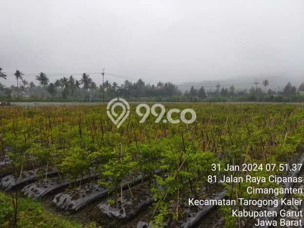 Tanah Dijual Lokasi Tarogong Kaler Garut SHM Tanah Dijual Lokasi Tarogong Kaler Garut SHM