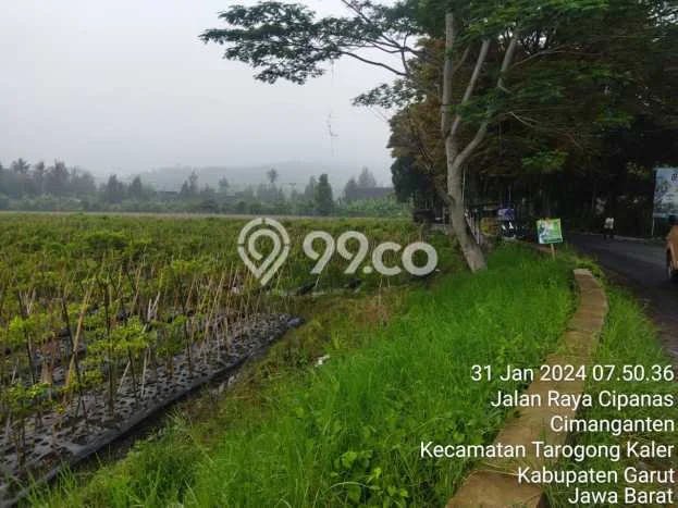 Tanah Dijual Lokasi Tarogong Kaler Garut SHM Tanah Dijual Lokasi Tarogong Kaler Garut SHM