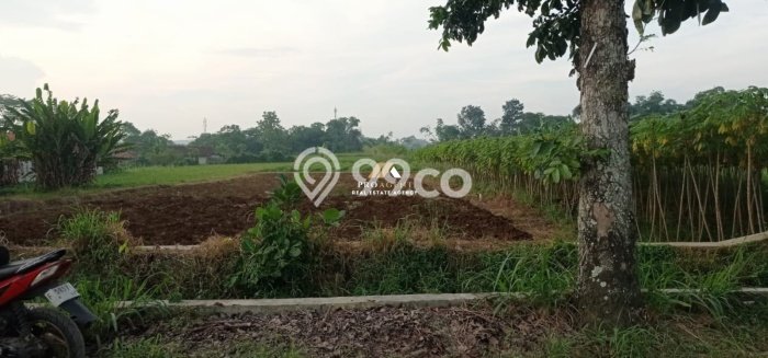 Tanah Dijual Lokasi Dramaga, Bogor Luas 4000m2 Legalitas Aman Tanah Dijual Lokasi Dramaga, Bogor Luas 4000m2 Legalitas Aman