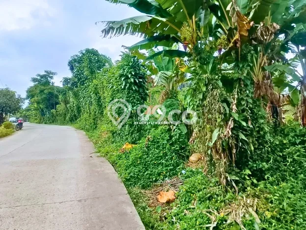 Lahan untuk Dijual Lokasi Sukamakmur, Bogor Luas 2000m2 SHM Lahan untuk Dijual Lokasi Sukamakmur, Bogor Luas 2000m2 SHM
