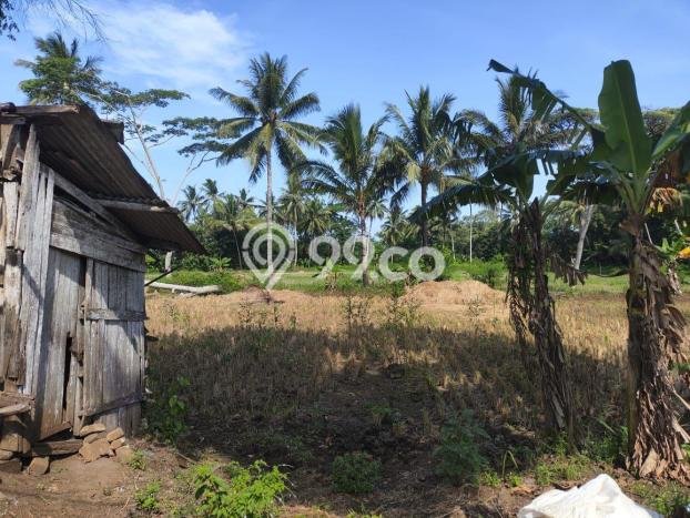 Lahan Strategis di Surade Dijual dengan Luas 1910m2 Lahan Strategis di Surade Dijual dengan Luas 1910m2