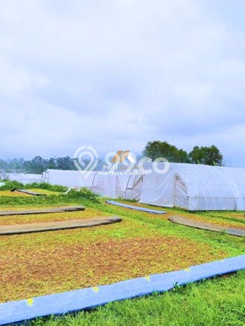 Tanah di Ciwidey, Luas 6474m2m², Area Strategis, Kawasan Nyaman Tanah di Ciwidey, Luas 6474m2m², Area Strategis, Kawasan Nyaman