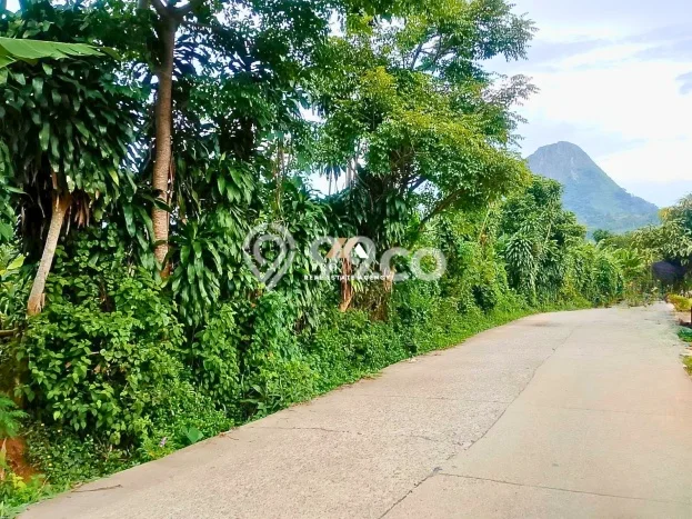 Lahan untuk Dijual Lokasi Sukamakmur, Bogor Luas 2000m2 SHM Lahan untuk Dijual Lokasi Sukamakmur, Bogor Luas 2000m2 SHM