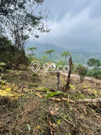 Tanah di Cisarua, Bogor Luas 10000m2 Dijual Segera Tanah di Cisarua, Bogor Luas 10000m2 Dijual Segera