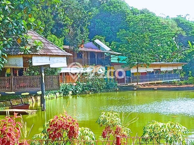 Dijual Tanah di Babakan Madang Bogor Luas 8000m2 SHM Dijual Tanah di Babakan Madang Bogor Luas 8000m2 SHM