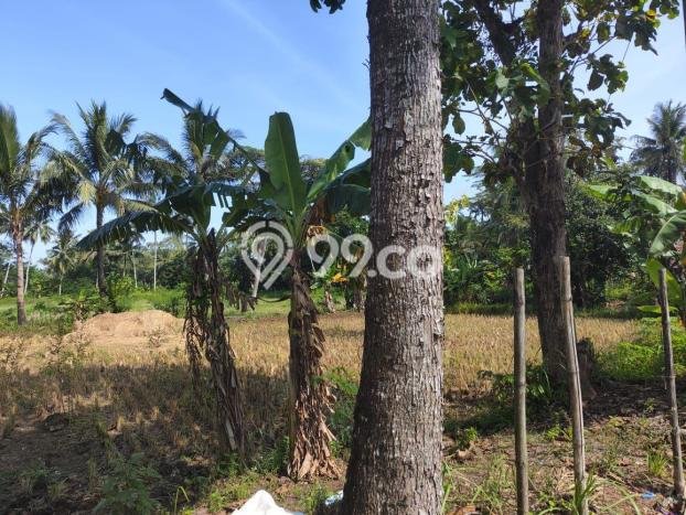 Lahan Strategis di Surade Dijual dengan Luas 1910m2 Lahan Strategis di Surade Dijual dengan Luas 1910m2