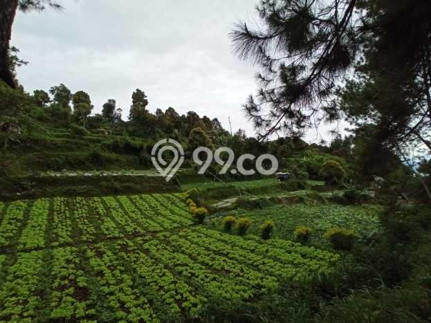 Tanah Dijual Lokasi Parongpong, Bandung Barat Luas 5235m2 Legalitas Aman Tanah Dijual Lokasi Parongpong, Bandung Barat Luas 5235m2 Legalitas Aman