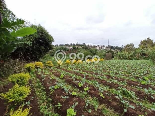 Tanah Dijual Lokasi Parongpong, Bandung Barat Luas 5235m2 Legalitas Aman Tanah Dijual Lokasi Parongpong, Bandung Barat Luas 5235m2 Legalitas Aman