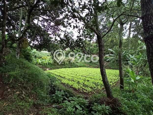 Tanah Dijual Lokasi Parongpong, Bandung Barat Luas 5235m2 Legalitas Aman Tanah Dijual Lokasi Parongpong, Bandung Barat Luas 5235m2 Legalitas Aman