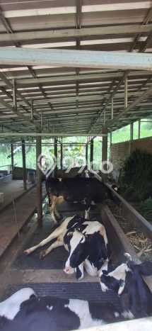 Lahan Kosong Dijual di Bandung dengan Area 1050m2 Lahan Kosong Dijual di Bandung dengan Area 1050m2