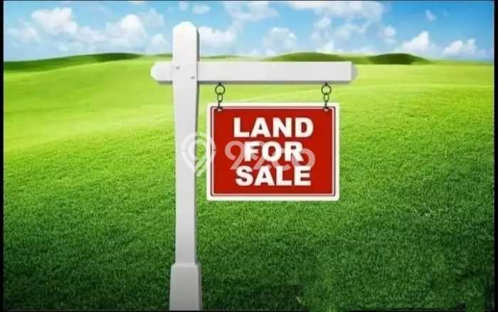Kavling Tanah Dijual di Kebomas Gresik Spesifikasi 1925m2 Kavling Tanah Dijual di Kebomas Gresik Spesifikasi 1925m2