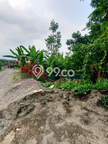 Jarang Ada! Tanah di Prigen Punya Luas 3388m2 SHM Jarang Ada! Tanah di Prigen Punya Luas 3388m2 SHM