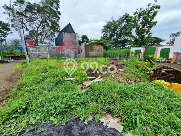 Lahan Investasi Lokasi Jabung Malang SHM Lahan Investasi Lokasi Jabung Malang SHM