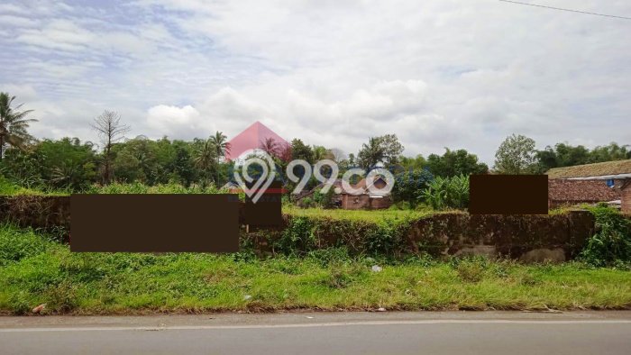 Lahan Strategis di Pakis Dijual dengan Luas 1650m2 Lahan Strategis di Pakis Dijual dengan Luas 1650m2