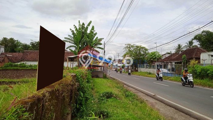 Lahan Strategis di Pakis Dijual dengan Luas 1650m2 Lahan Strategis di Pakis Dijual dengan Luas 1650m2