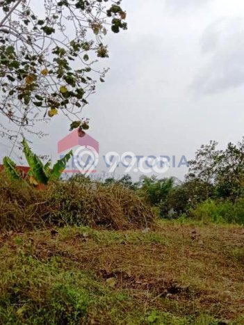 Tanah Kosong Dijual di Malang dengan Area 100m2 Tanah Kosong Dijual di Malang dengan Area 100m2