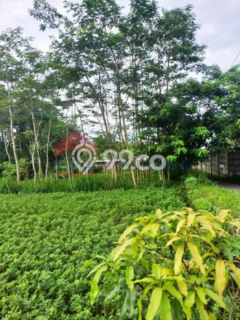 Tanah Dijual Lokasi Singosari, Malang Luas 220m2 Legalitas Aman Tanah Dijual Lokasi Singosari, Malang Luas 220m2 Legalitas Aman