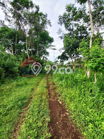 Tanah Dijual Lokasi Singosari, Malang Luas 220m2 Legalitas Aman Tanah Dijual Lokasi Singosari, Malang Luas 220m2 Legalitas Aman