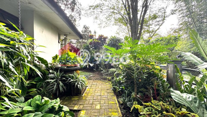 For Sale Hunian Rumah Terawat 3 Kamar di Malang Kota, Malang For Sale Hunian Rumah Terawat 3 Kamar di Malang Kota, Malang