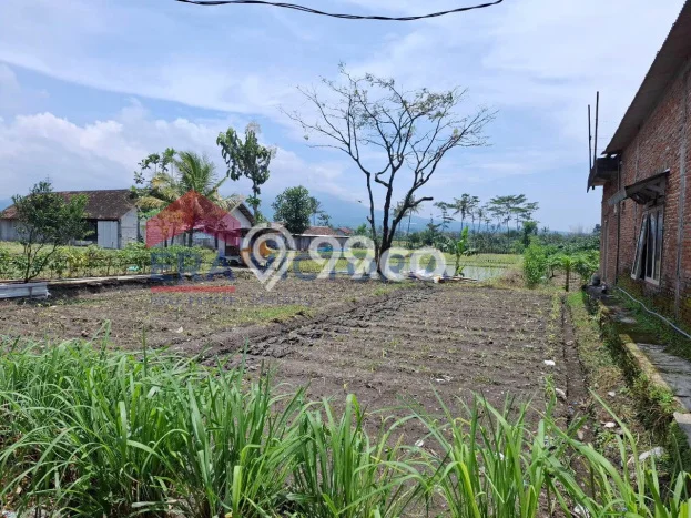 Lahan Dijual Lokasi Karangploso, Malang dengan Luas Tanah 120m2 dan Status SHM Lahan Dijual Lokasi Karangploso, Malang dengan Luas Tanah 120m2 dan Status SHM