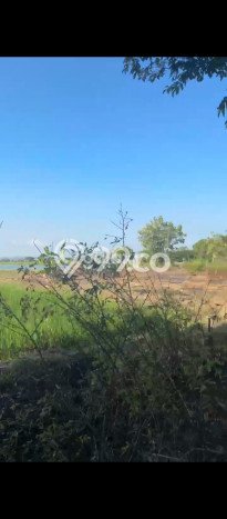 Tanah Komersial Dijual di Cerme Gresik 5500m2 Tanah Komersial Dijual di Cerme Gresik 5500m2