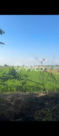 Tanah Komersial Dijual di Cerme Gresik 5500m2 Tanah Komersial Dijual di Cerme Gresik 5500m2