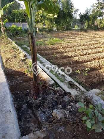 Lahan Kosong Dijual di Caringin, Sukabumi, Luas 4300m2 Area Strategis Lahan Kosong Dijual di Caringin, Sukabumi, Luas 4300m2 Area Strategis