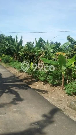 Tanah untuk Dijual di Ciampea Bogor Luas 13850m2 Tanah untuk Dijual di Ciampea Bogor Luas 13850m2